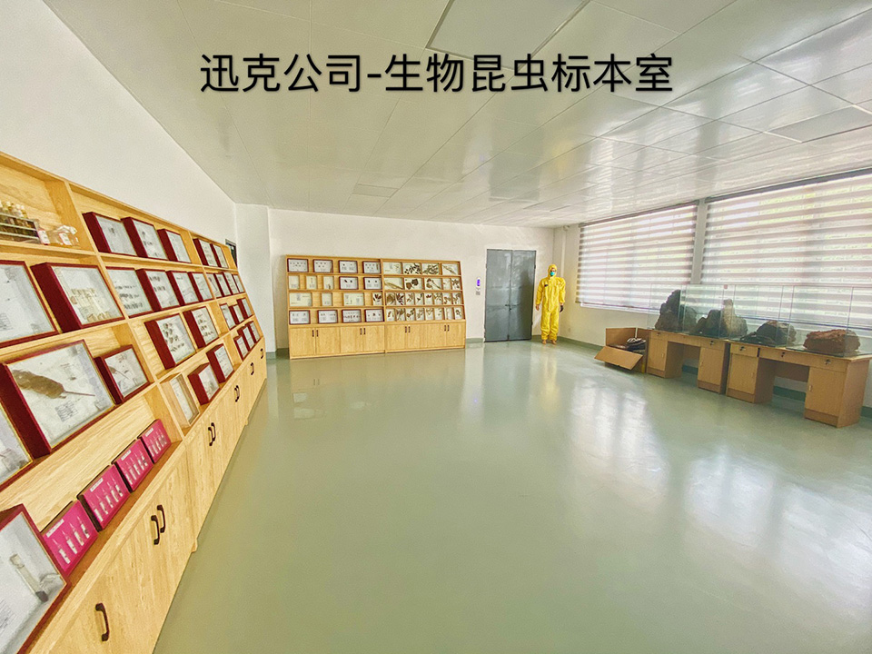 生物昆蟲標(biāo)本室